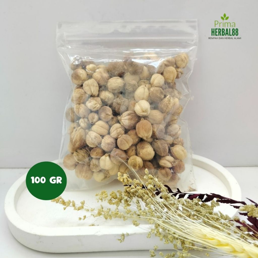 

Kapulaga Putih Organik