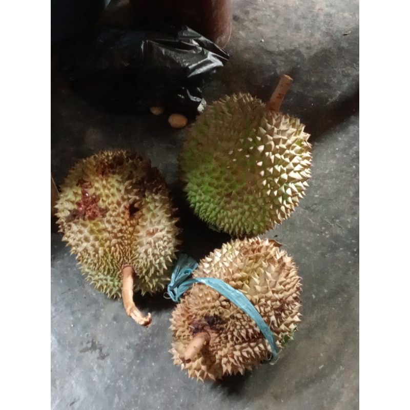 

durian langka