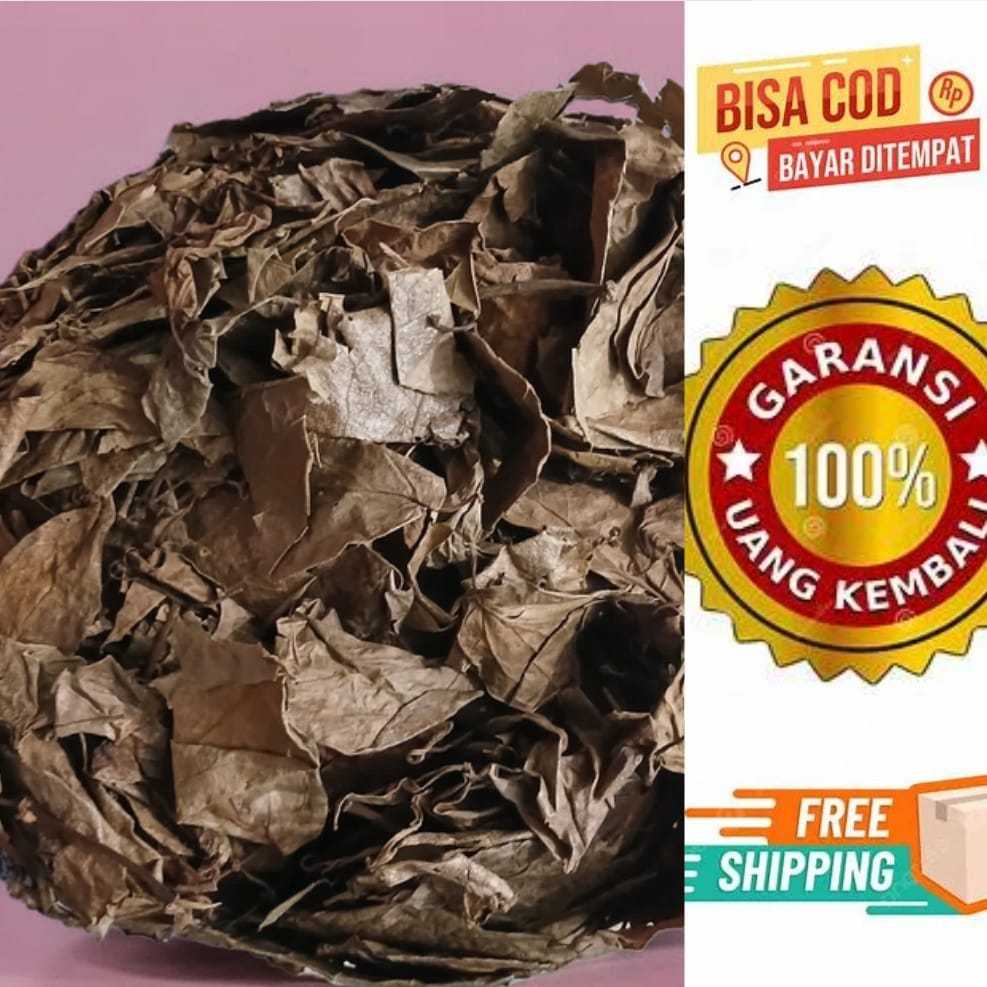 

DAUN SIRIH HIJAU KERING ASLI PREMIUM PILIHAN GROSIR LEBIH MURAH-1 KG