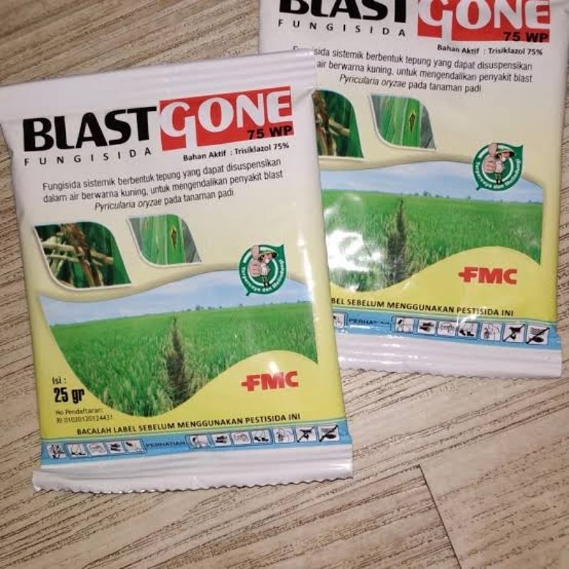 BLASTGONE 75WP FUNGISIDA SISTEMIK 25GR