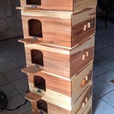Promo Terbatas Gupon Merpati Rumah Burung Dara