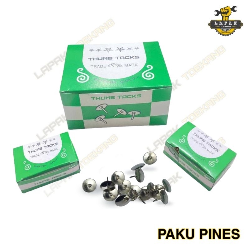 Paku Payung Paku Pines Pinus Bagus per 1 Kotak Besar