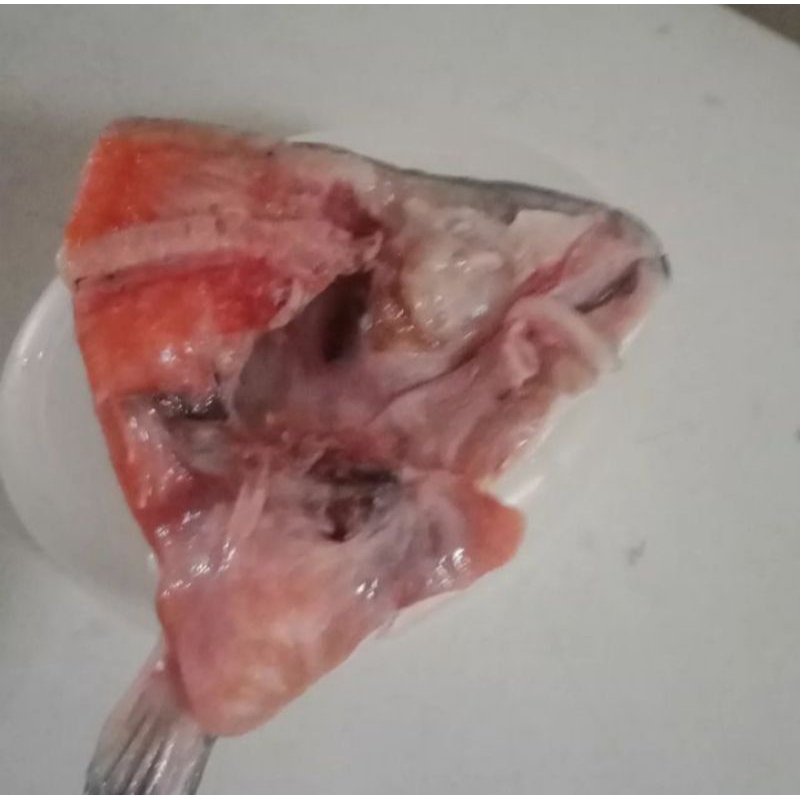 

kepala salmon belah 1kg