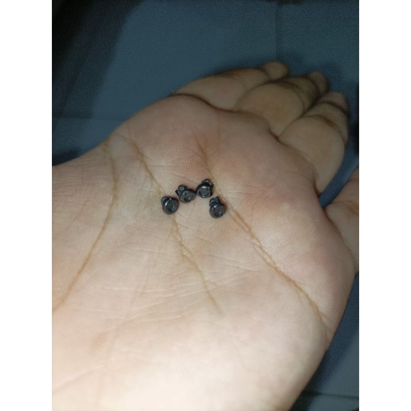 Rivet Bezel G-Shock G-7900