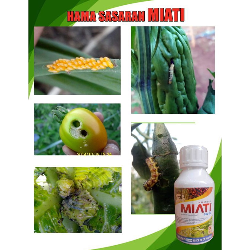 INSEKTISIDA MIATI TRIAZOFOS 200EC 400ml untuk LALAT BUAH ULAT BOR sundep penggerek batang padi speci