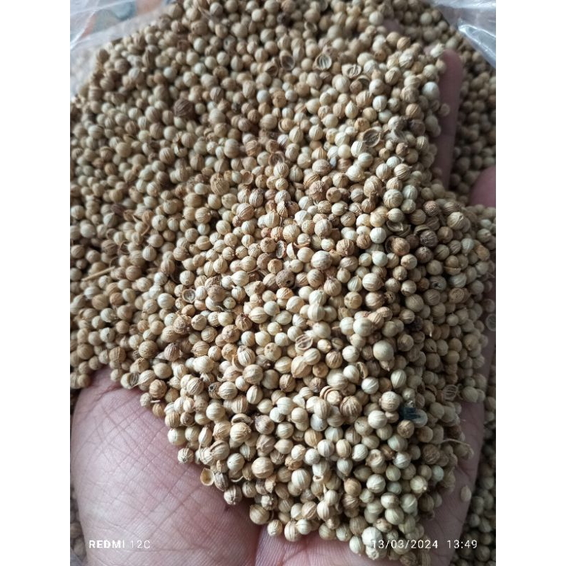 

KETUMPAR PUTIH ASLI /BIJI KETUMBAR