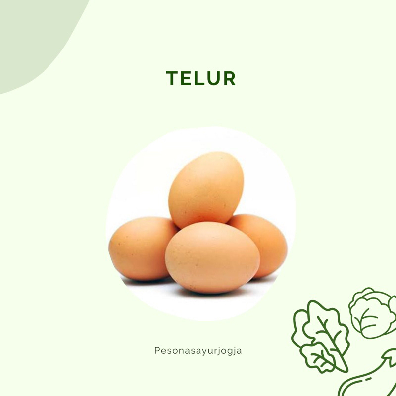 

TELUR AYAM