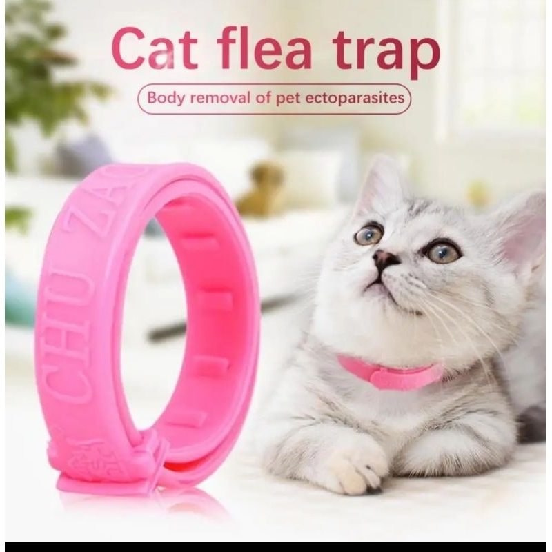 Kalung Kucing Collar Cat Obat Anti Kutu Small Ukuran Kecil Murah Bagus