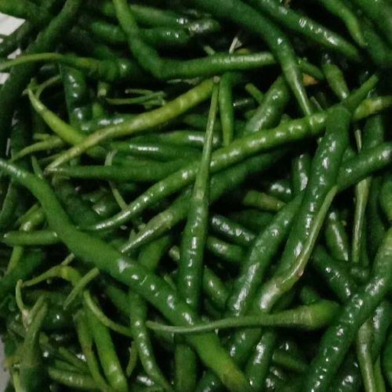 

1 KG Cabai Hijau Keriting