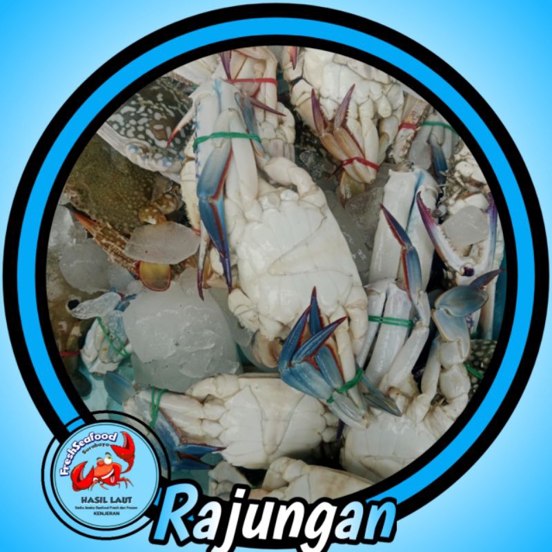 

RAJUNGAN BESAR 1 kg