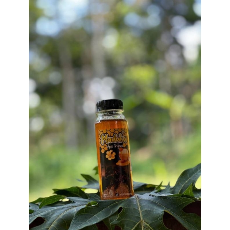 

MADUKU MADU APIS TRIGONA,TEUWEUL,KLENCENG