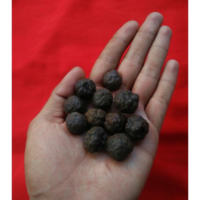 Beli Lebih Hemat Banyak Munta Besi  Monta Bassi Aktif