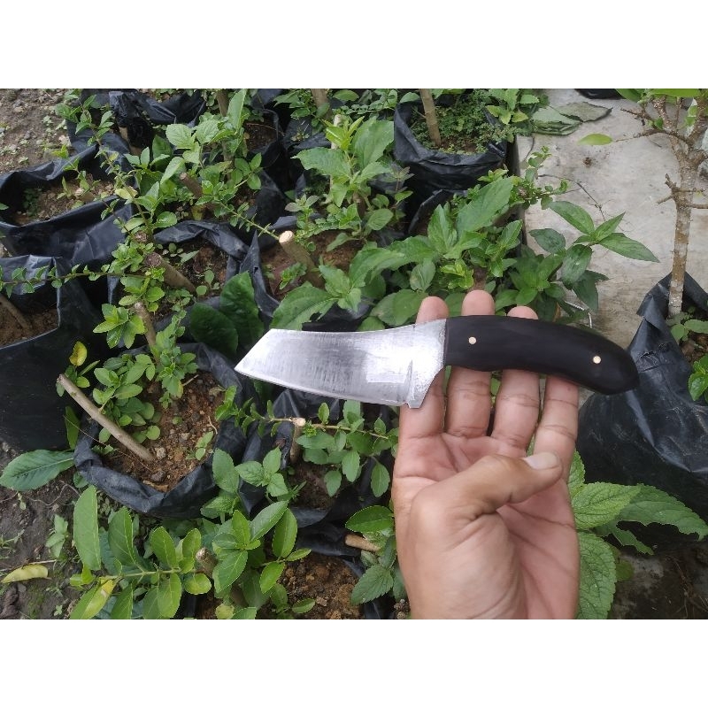 Pisau Dapur/ Pisau Cleaver Mini/Pisau Baja/Pisau Kecil/Pisau Unik