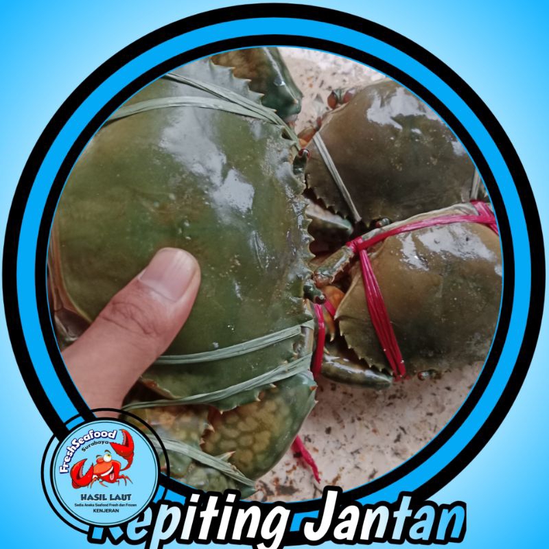 

KEPITING SUPER JANTAN 1 kg