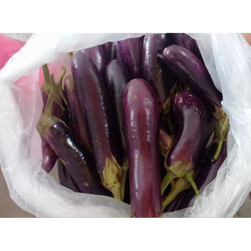 

Terong ungu 1 kg