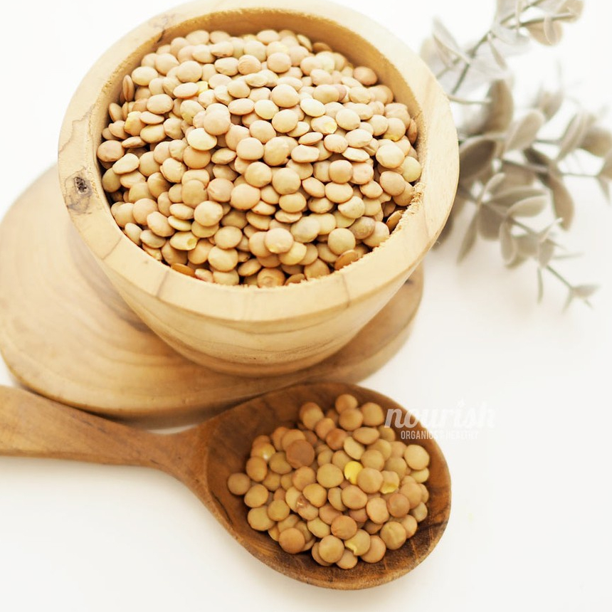 

Brown Lentils 500gr-JktBar