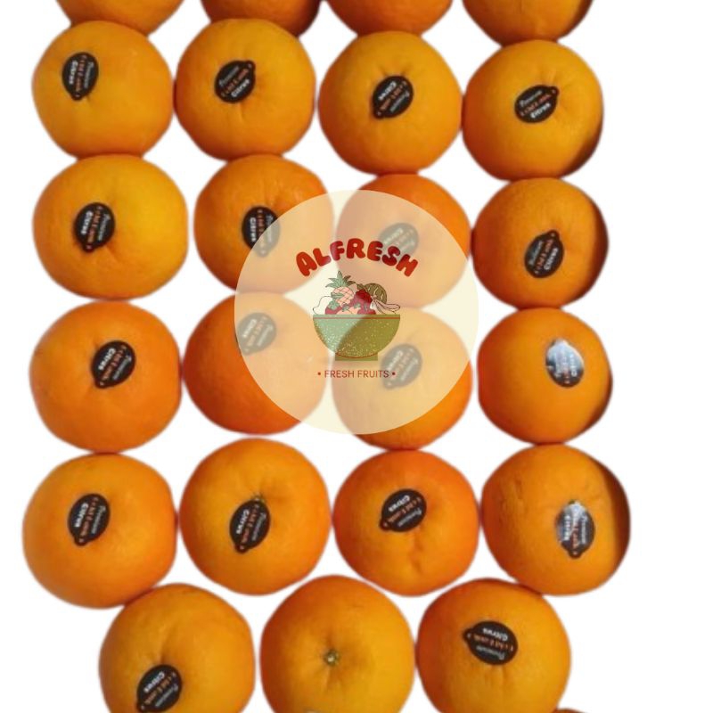 

Jeruk wokam / jeruk segar /900 gram / buah segar / jeruk manis