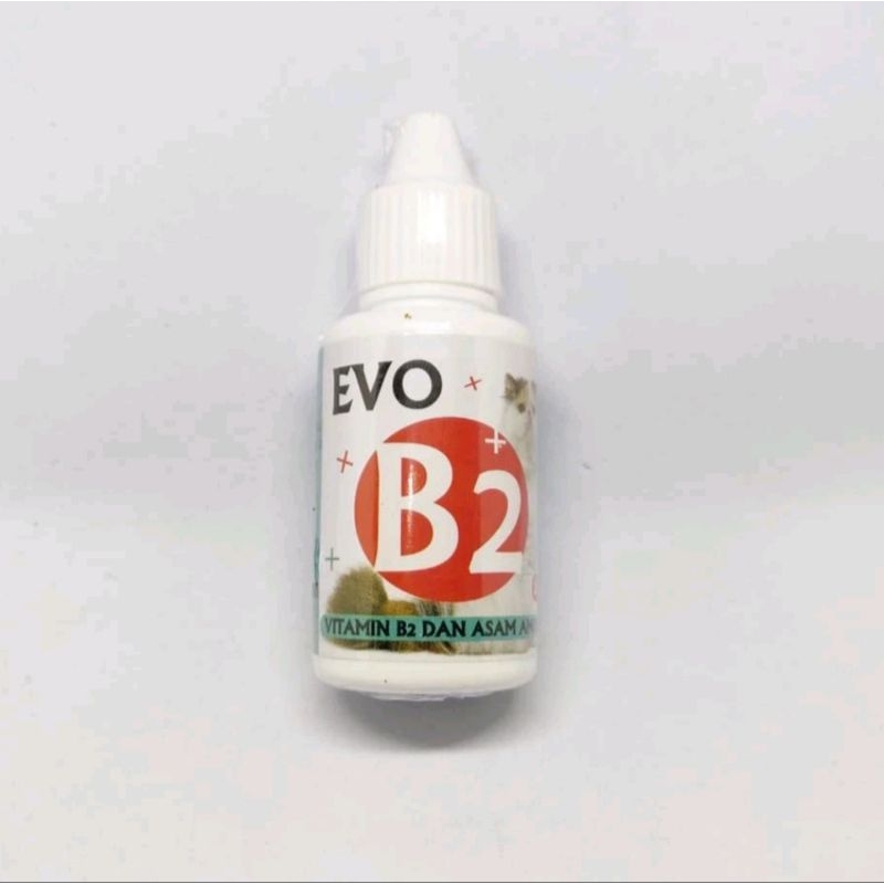 Evo B2 Vitamin Kucing Vitamin Anjing