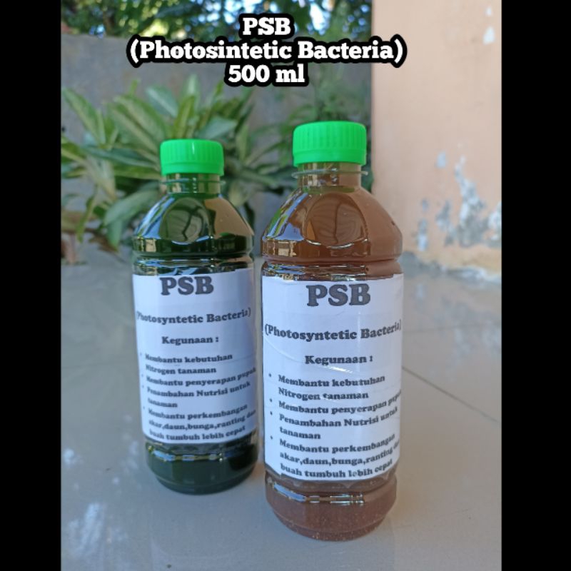 Biang PSB bakteri fotosintesis super jakaba 500ml
