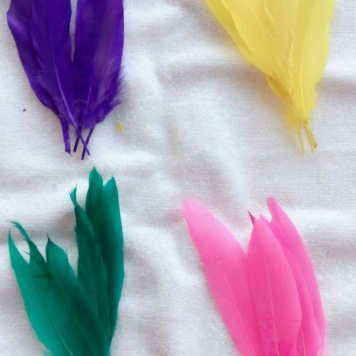 ✔️BULU ANGSA ASLI UNGGAS WARNA / BULU AYAM WARNA WARNI MURAH / AKSESORIS HIASAN