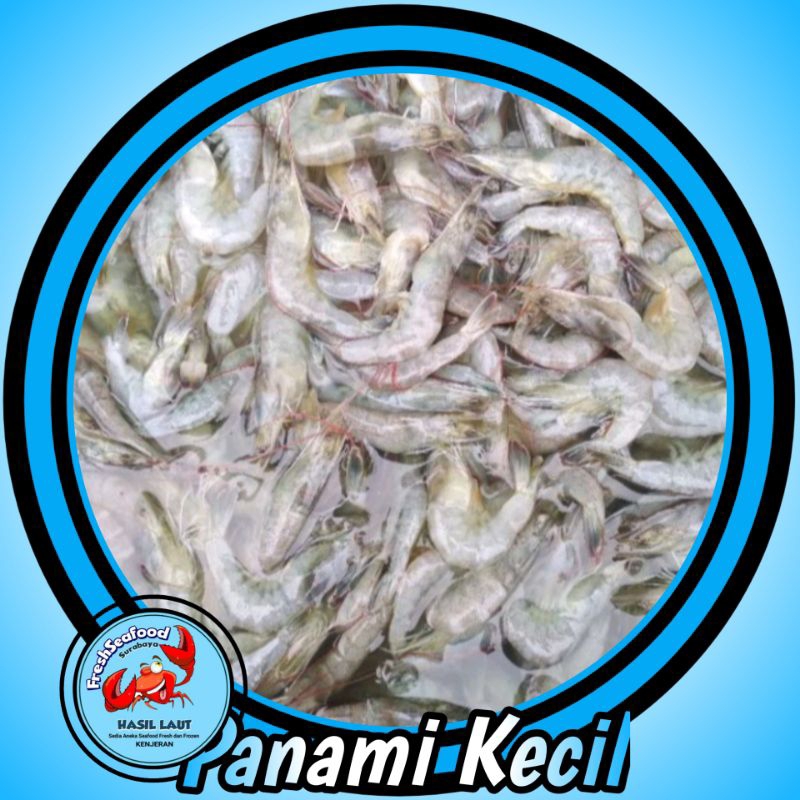 

UDANG PANAMI KECIL SEGAR 1kg