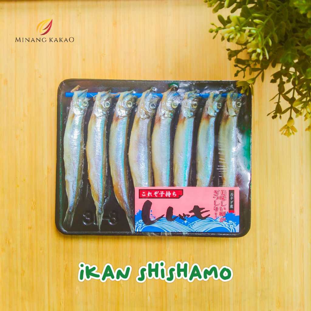 

Ikan Shisamo (Ikan Cipung termurah)