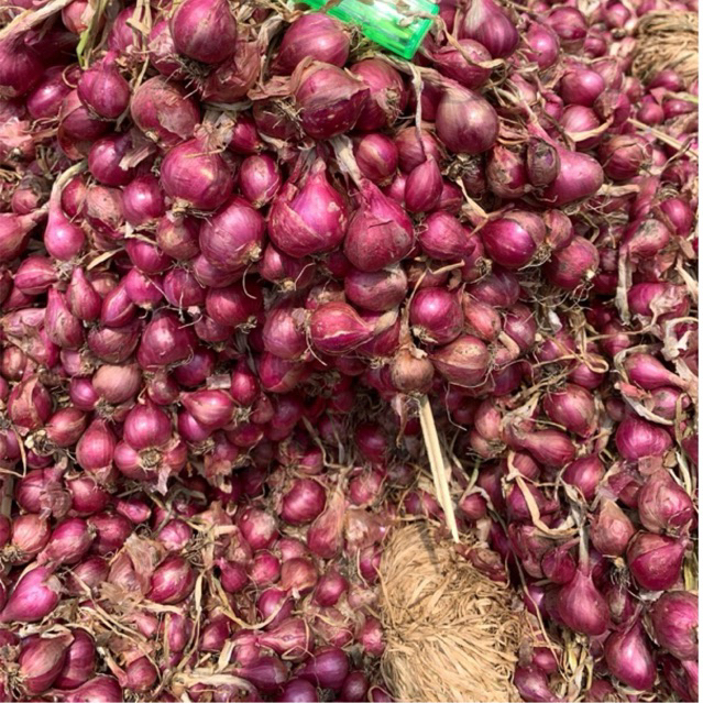 

BAWANG MERAH PROBOLINGGO 1KG