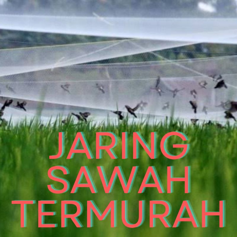 Jaring Burung Pipit Jaring Burung padi Jaring Pertanian Jaring Burung Sawah Jaring Burung Emprit Jar