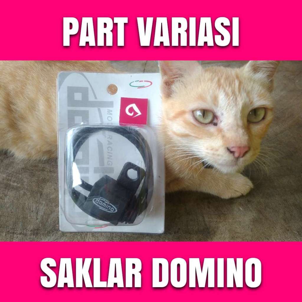 Saklar spion domino kiri 3 mode