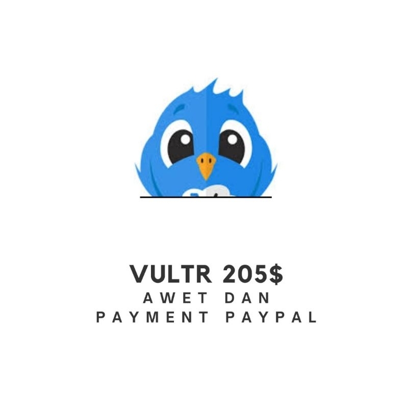 VULTR SALDO CREDIT 205$