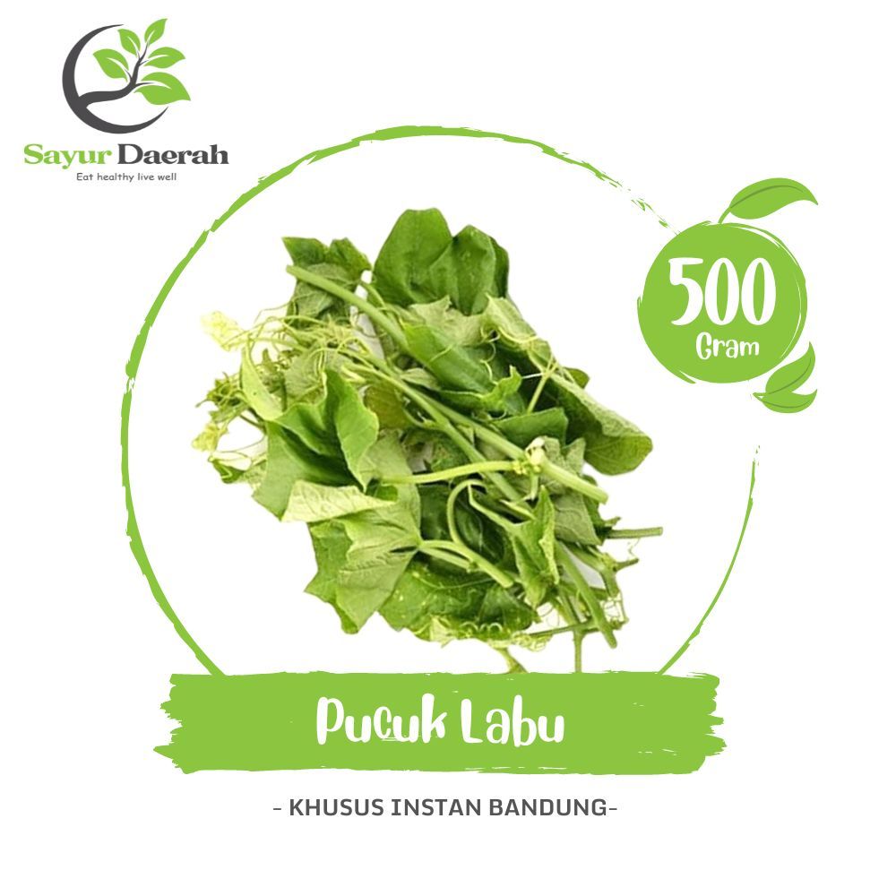 

Pucuk Labu 500 Gr | Sayur Daerah