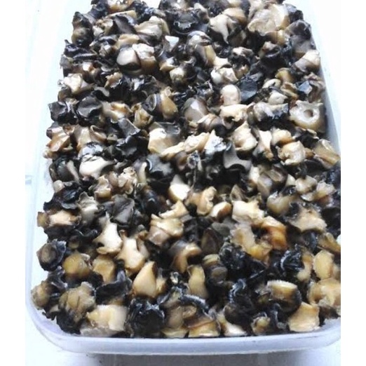 

Ready Stok daging Keong sawah bersih tanpa cangkang