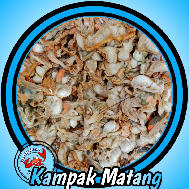 

KERANG MANUK/KAMPAK MATANG 1KG