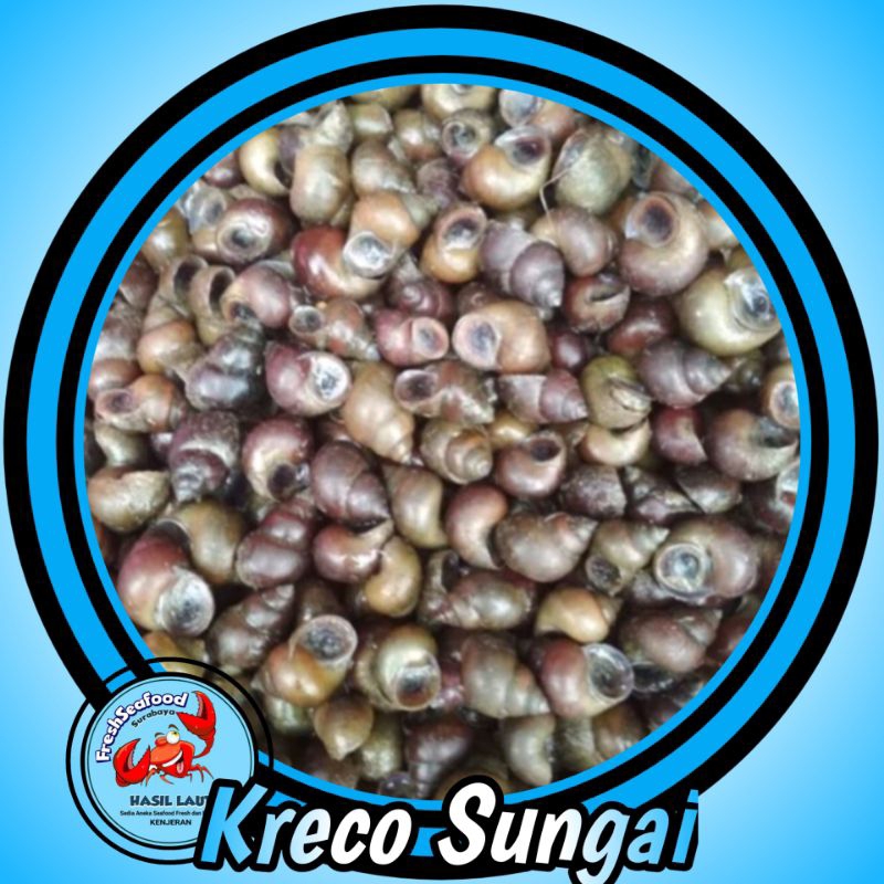 

KRECO SUNGAI SEGAR 1kg