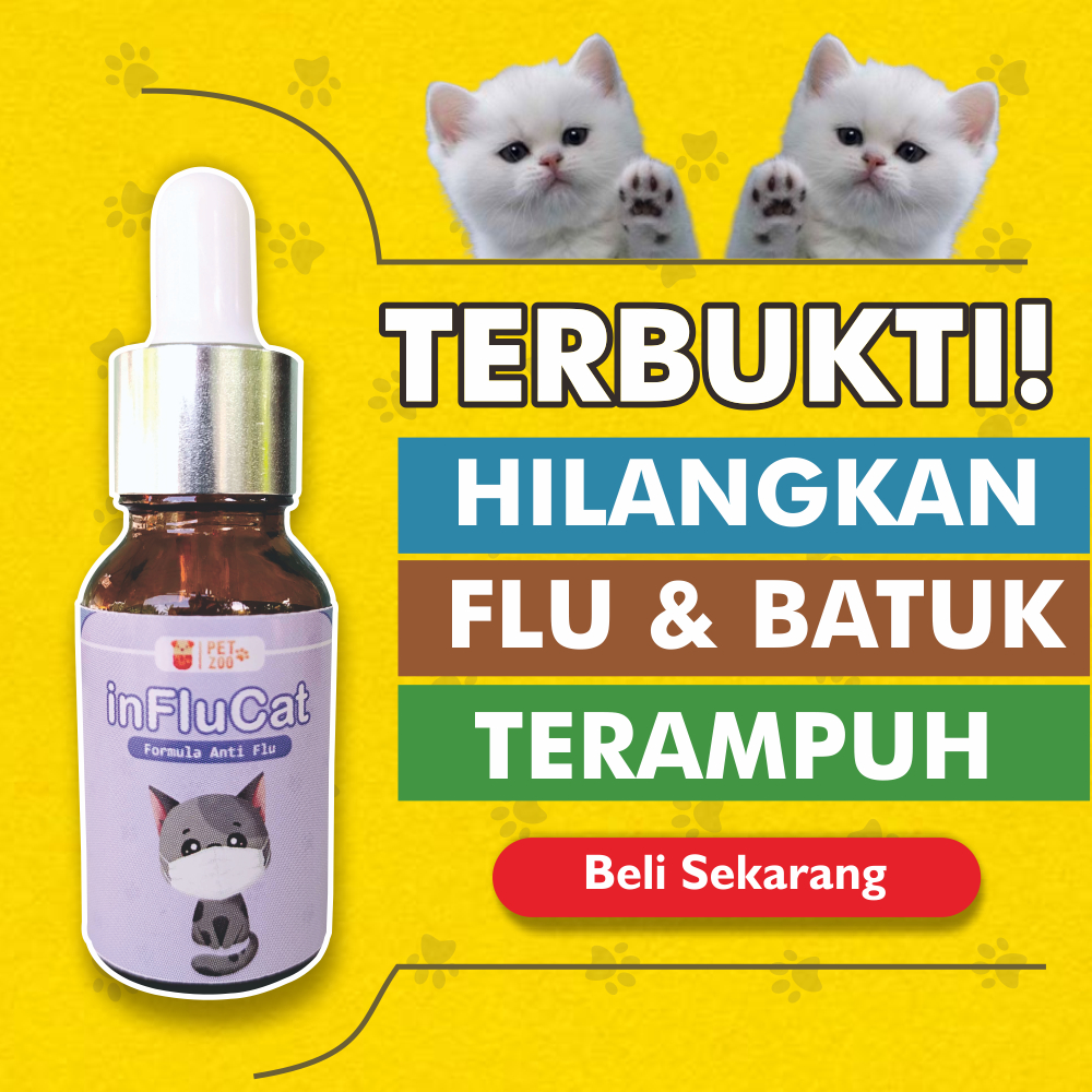 Obat Flu Kucing Paling Ampuh Apotik Parah Terbaik D2 Obat Pilek Kucing Bersin dan Ingusan Obat Flutd