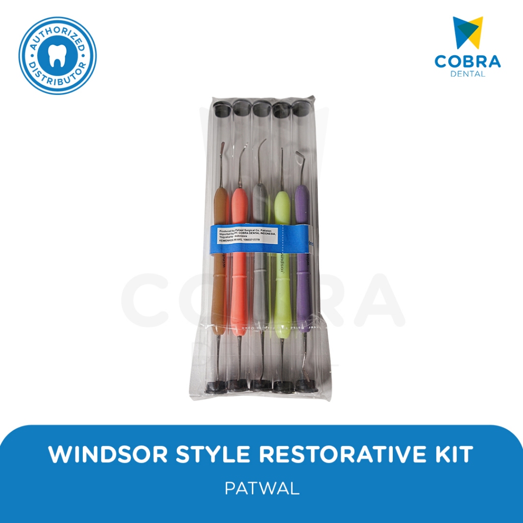Windsor Style Restorative Kit / Instrument Style Italiano