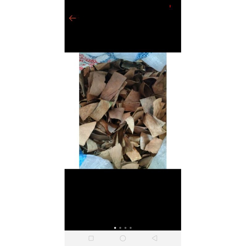 

daun karetkebokering/50gram