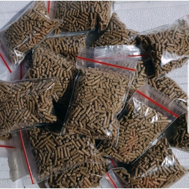 pakan udang / lobster