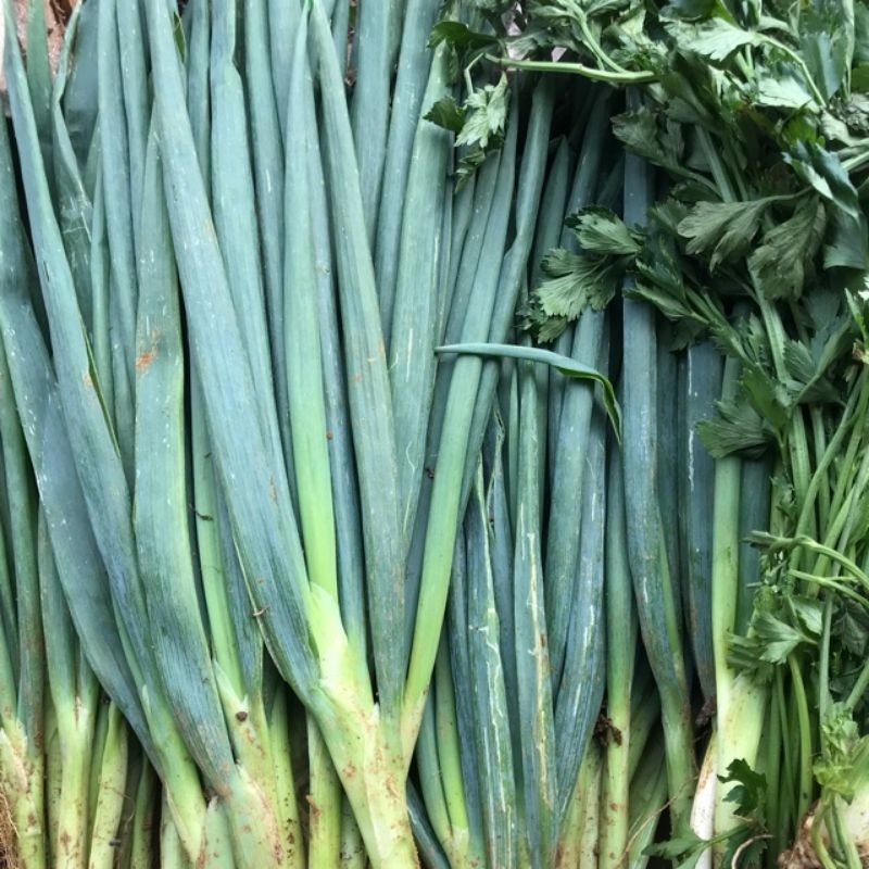 

daun Sop daun bawang dan sadri berat 200gr