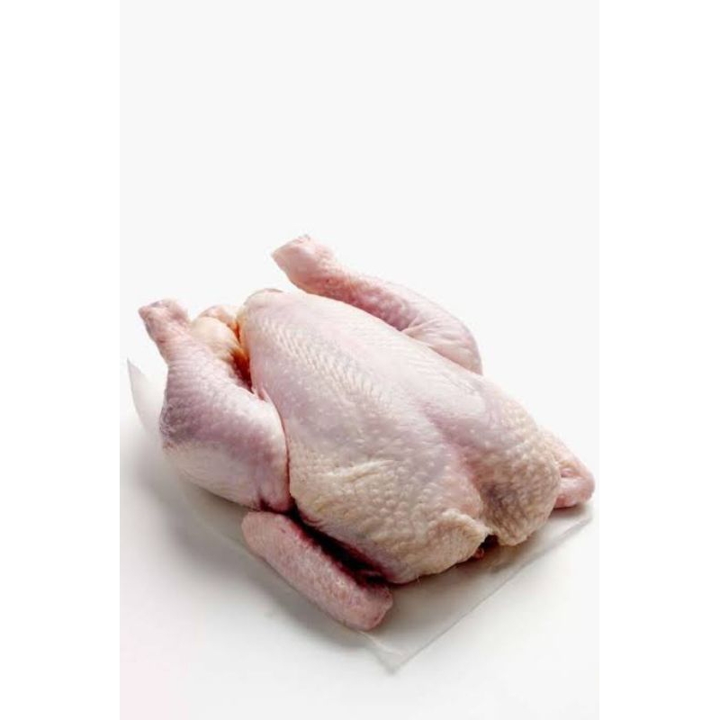 

ayam utuh ayam frozen ayam karkas ukr.900-1kg