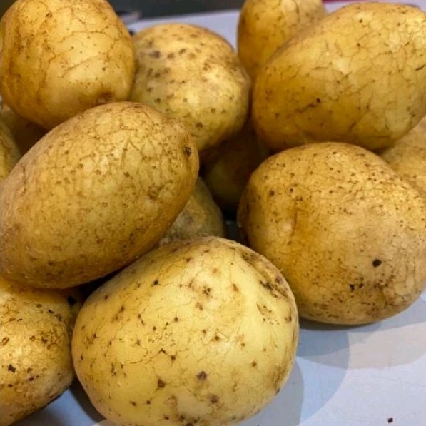 

Kentang Dieng 1 Kilogram