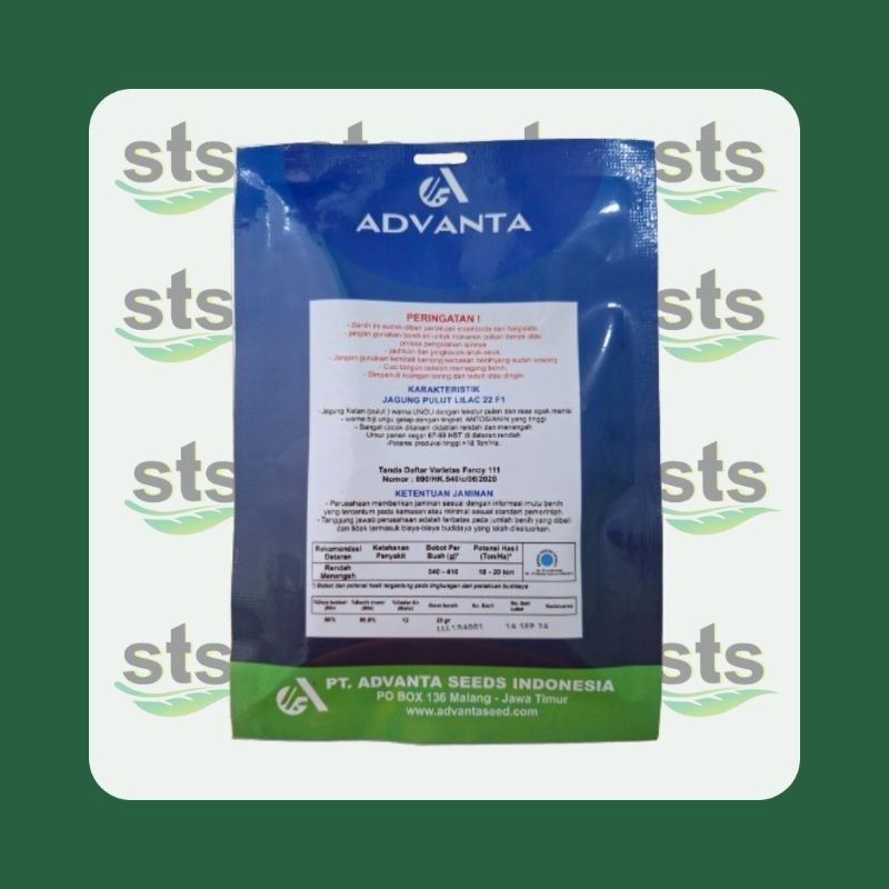 Benih Jagung Pulut Hibrida Lilac 22 F1