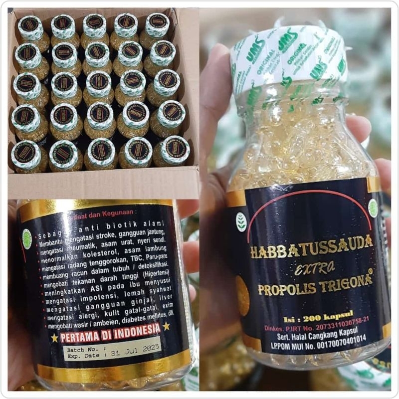 habatussaudah Exra propolis trigona