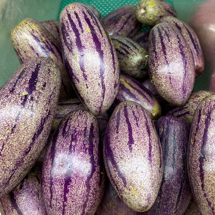 

Buah Pepino ungu super 1kg