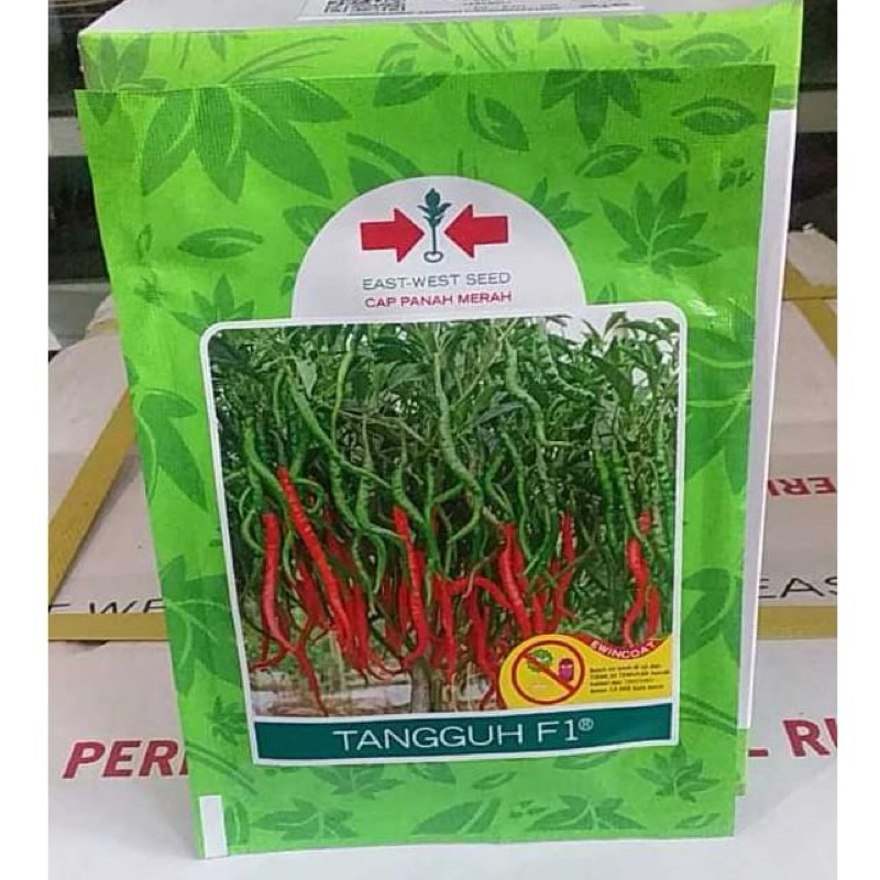 Benih bibit Cabe Keriting TANGGUH F1