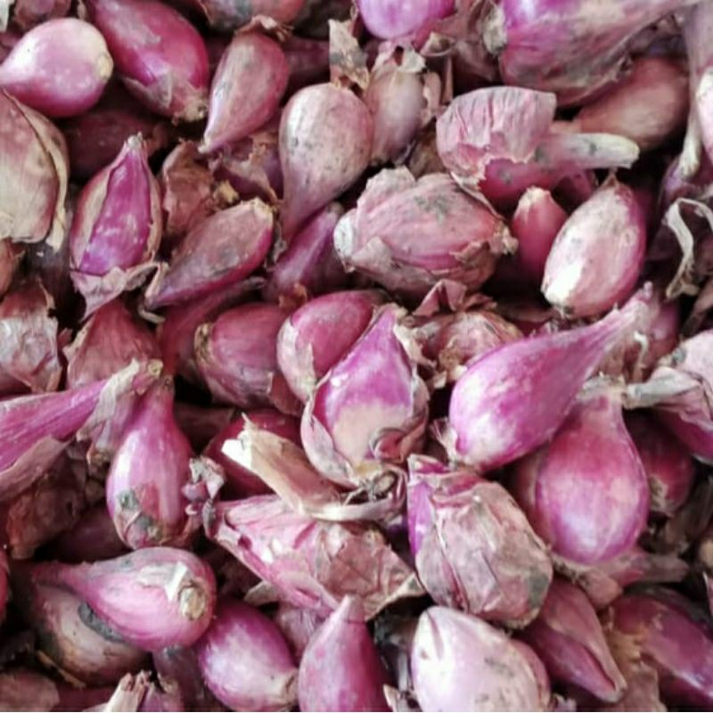 

bawang merah 1kg