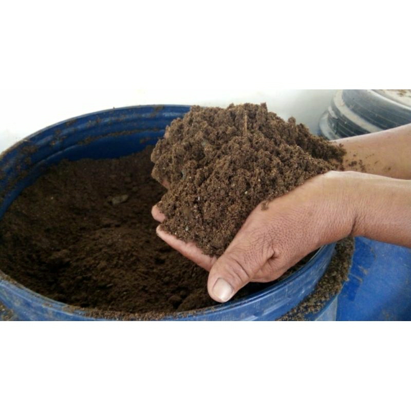 PUPUK_KOTORAN_SAPI_MURNI_#KOHE_#PUPUK_KANDANG_500Gram