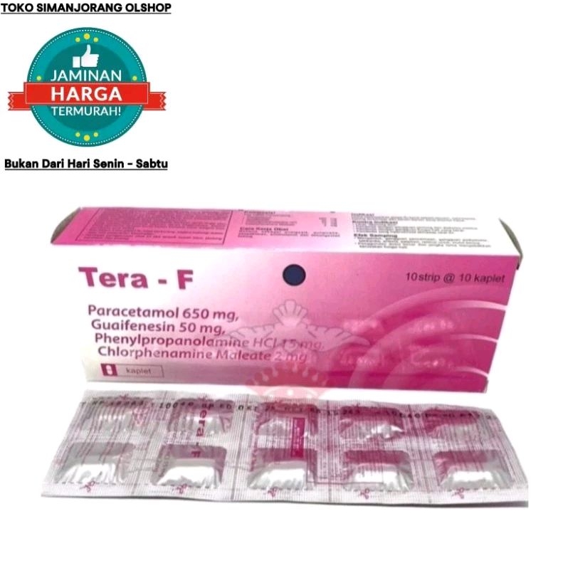 TERA -F ISI 10 TABLET OBAT BATUK & PILEK
