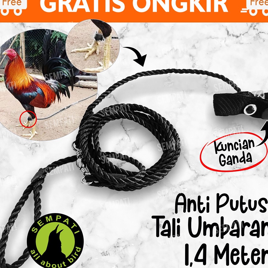 Diskon Menggoda Tali Kaki Ayam Tali Tambat Tali Umbaran Kaki Ayam Jago Bangkok Jantan Petarung Aduan