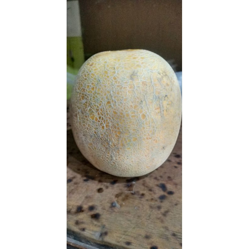 

MELON MANIS 1 BUTIR 20RIBU UKURAN 1KG -1.5-2kg (PACKING KARDUS)